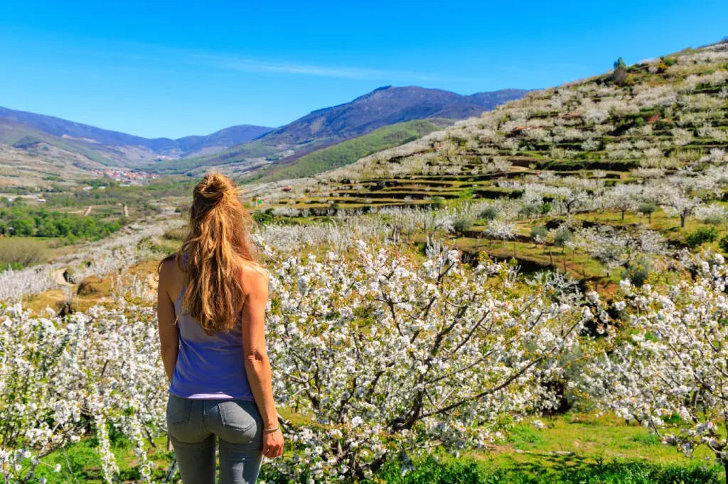 Extremadura Turismo tweet media