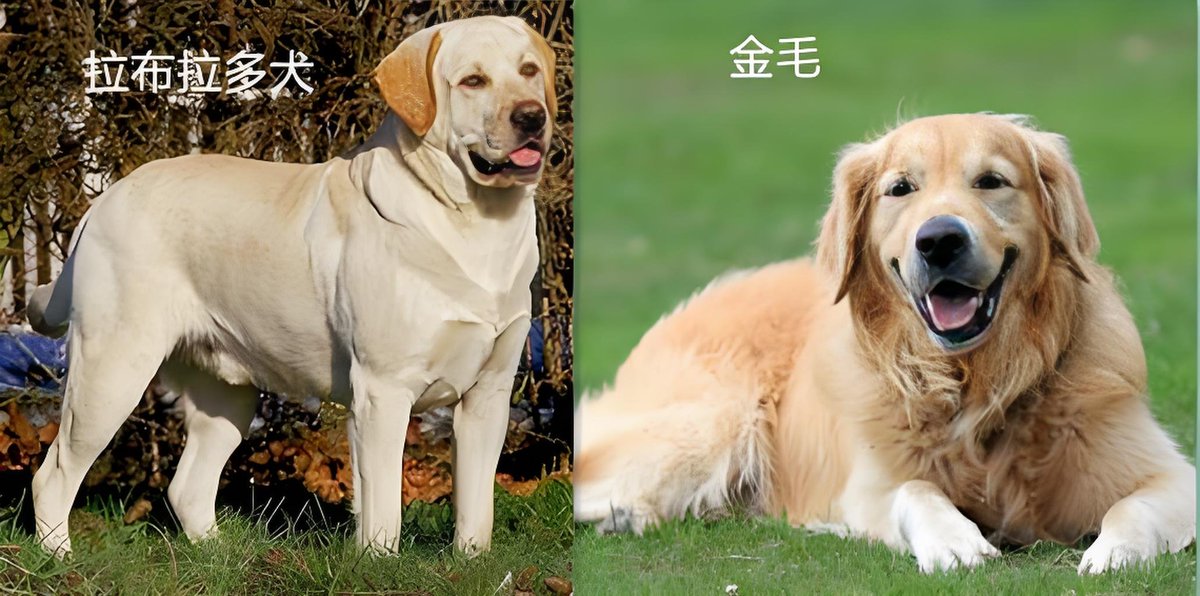 Ksenia Bozchenko tweet media