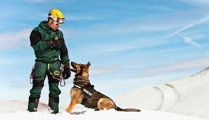 Guardia Civil tweet media