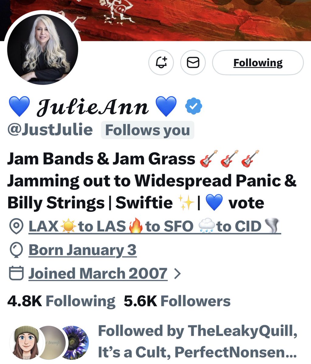 Turquoise Cat tweet media