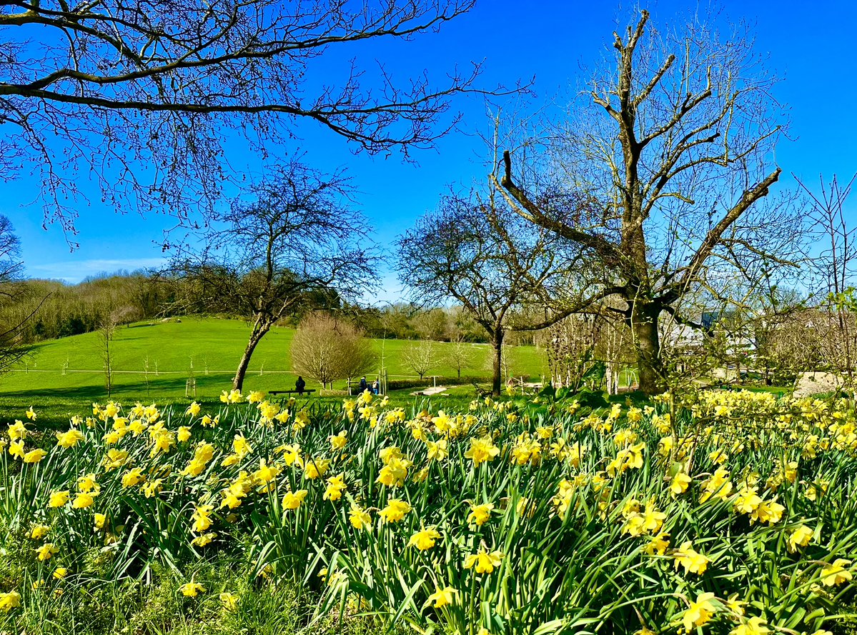Brislington Liberal Democrats 🔶 tweet media