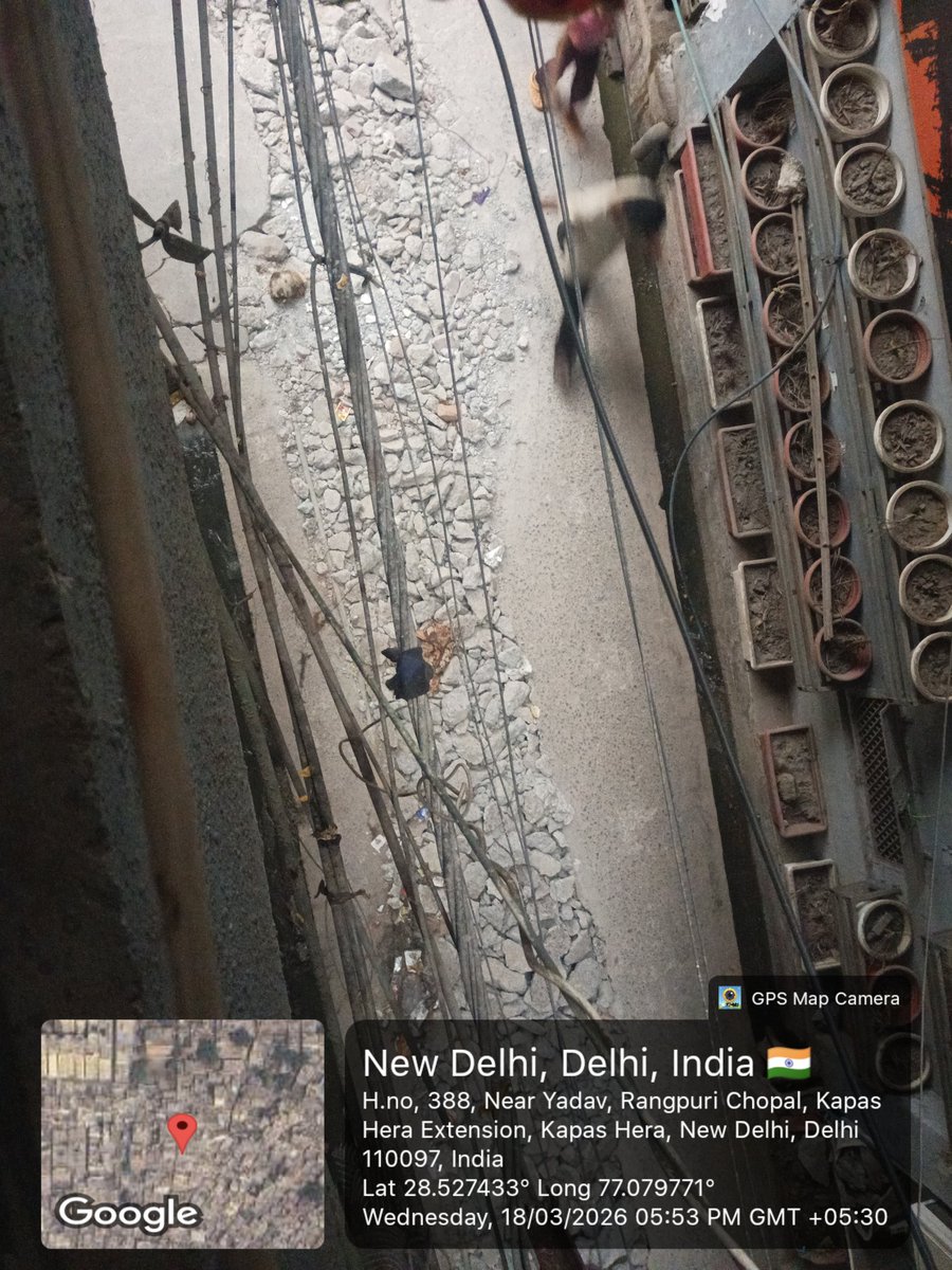 Divyanshu tweet media