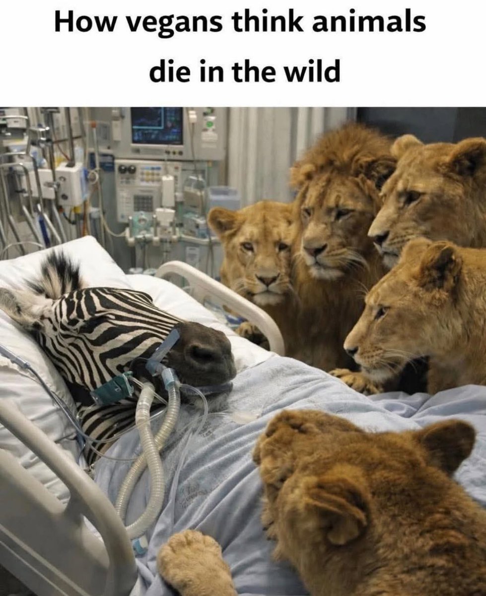 Michael A. Arouet tweet media