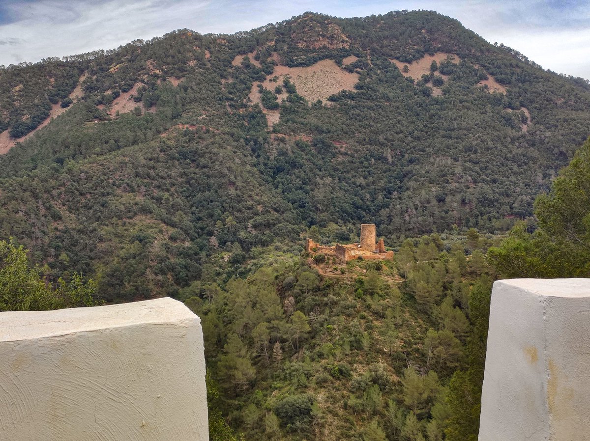 MariaJosep S Boronat tweet media