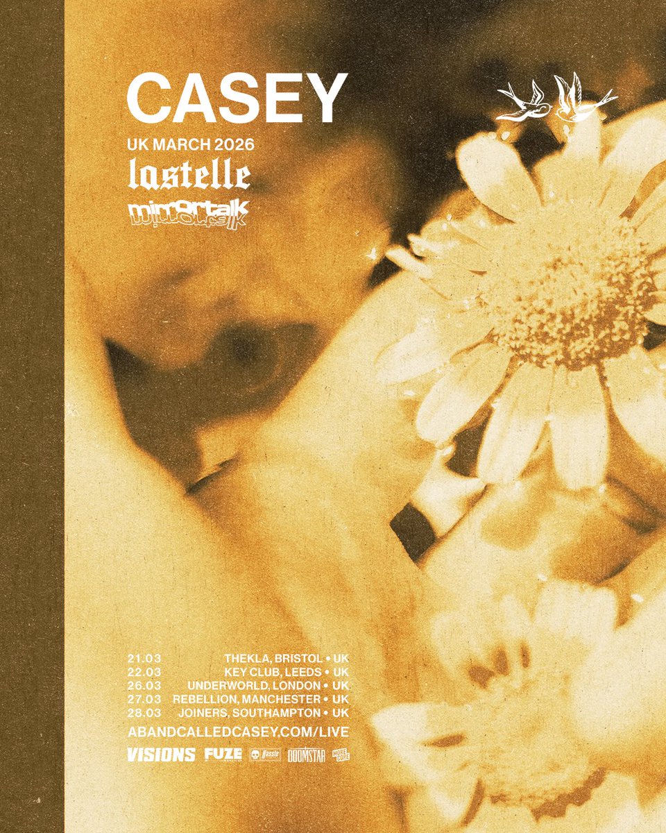 LASTELLE tweet media