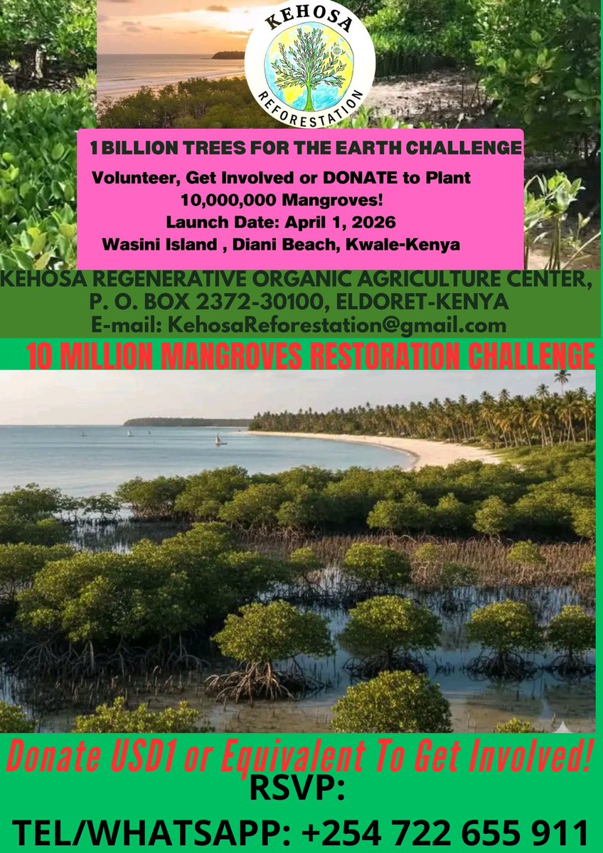 Kehosa International tweet media