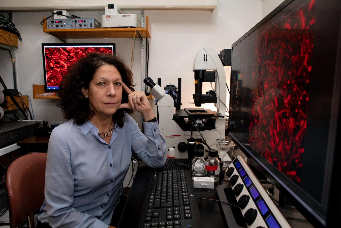 Princeton University tweet media