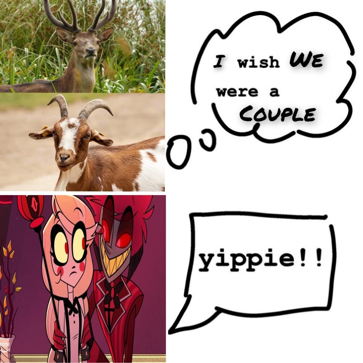 ๐๐โ๐ธ๐๐๐โ๐๐ ๐ฎ๐น tweet media