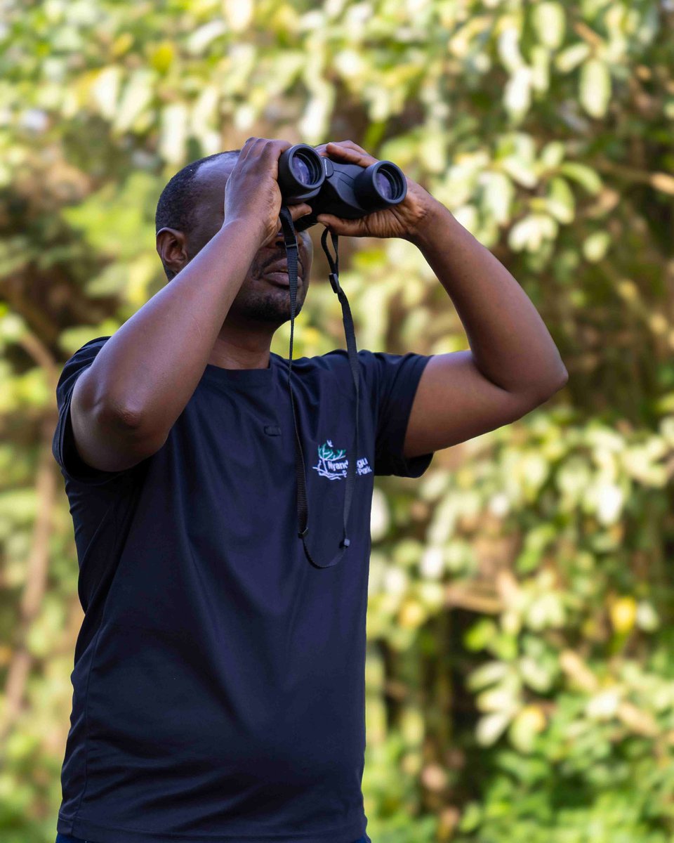 Nyandungu Eco-Park tweet media