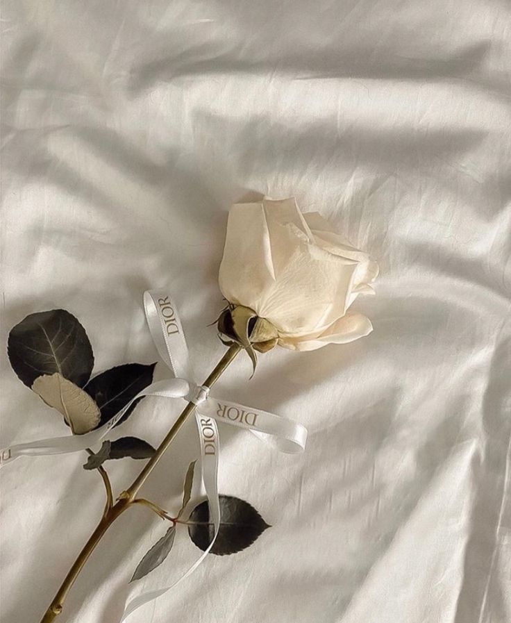 🜲 ... 𝘳𝘰𝘺𝘢𝘭𝘵𝘺 runs in her heart, 공주처럼 빛나. tweet media