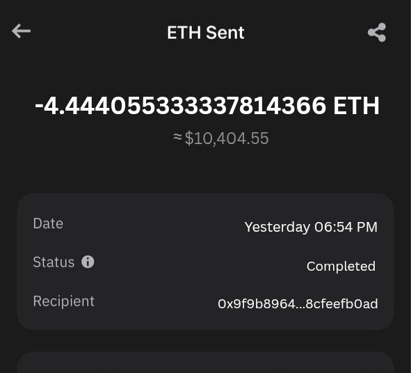 Crypto Rain tweet media