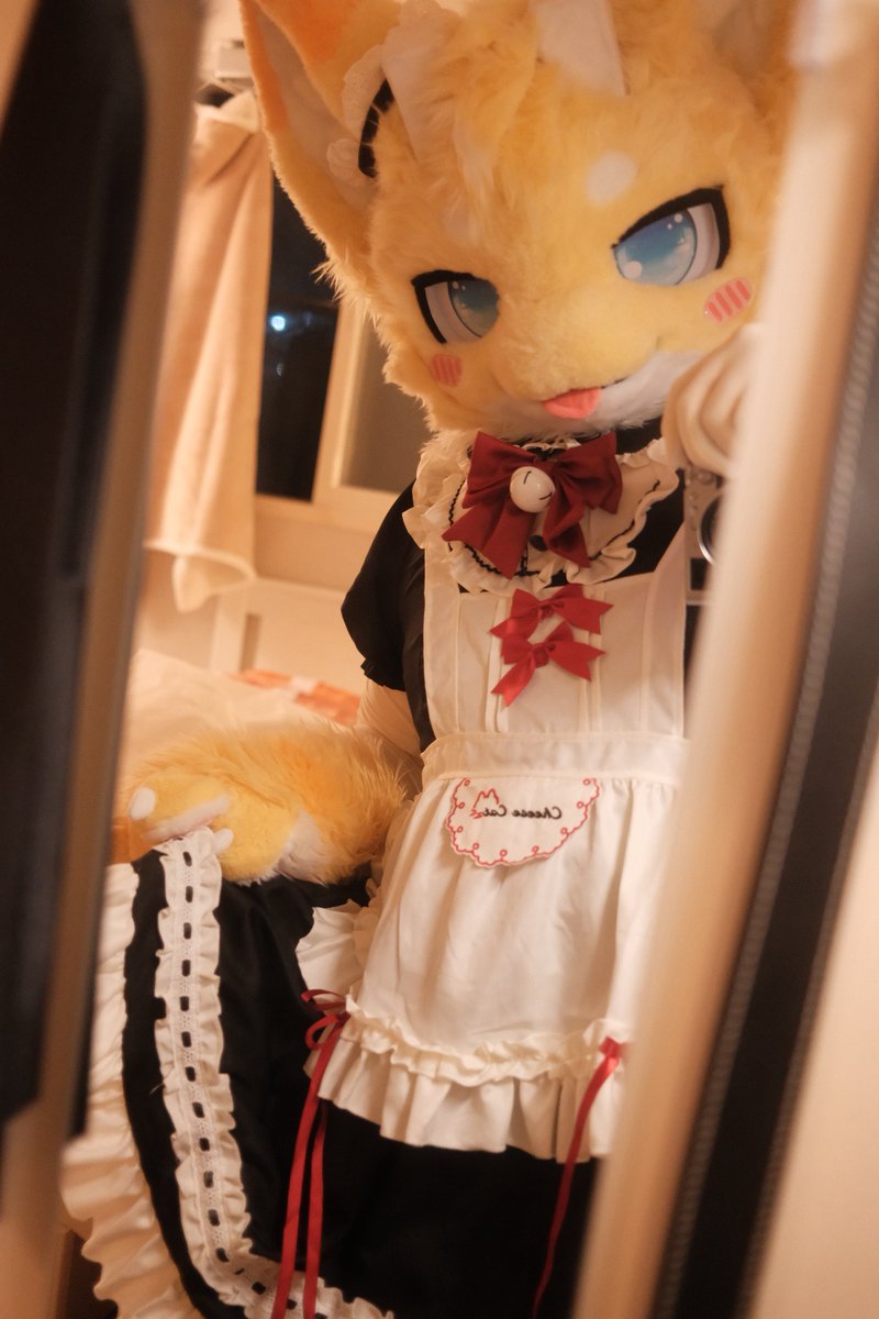 Breadragon(Commission Close) 🔜 FURSTCLASS tweet media