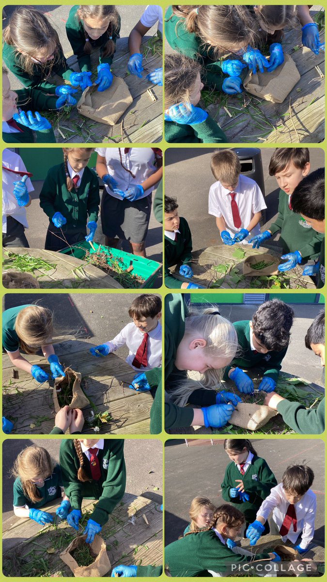 MissStantonY5_'s tweet image. After that, we wove the materials together to build our nests, practising patience and teamwork just like real birds. 🐦✨

Finally, we found safe spots in the trees, away from any predators, to place our nests and give the birds a secure home.#BritishScienceWeek2026