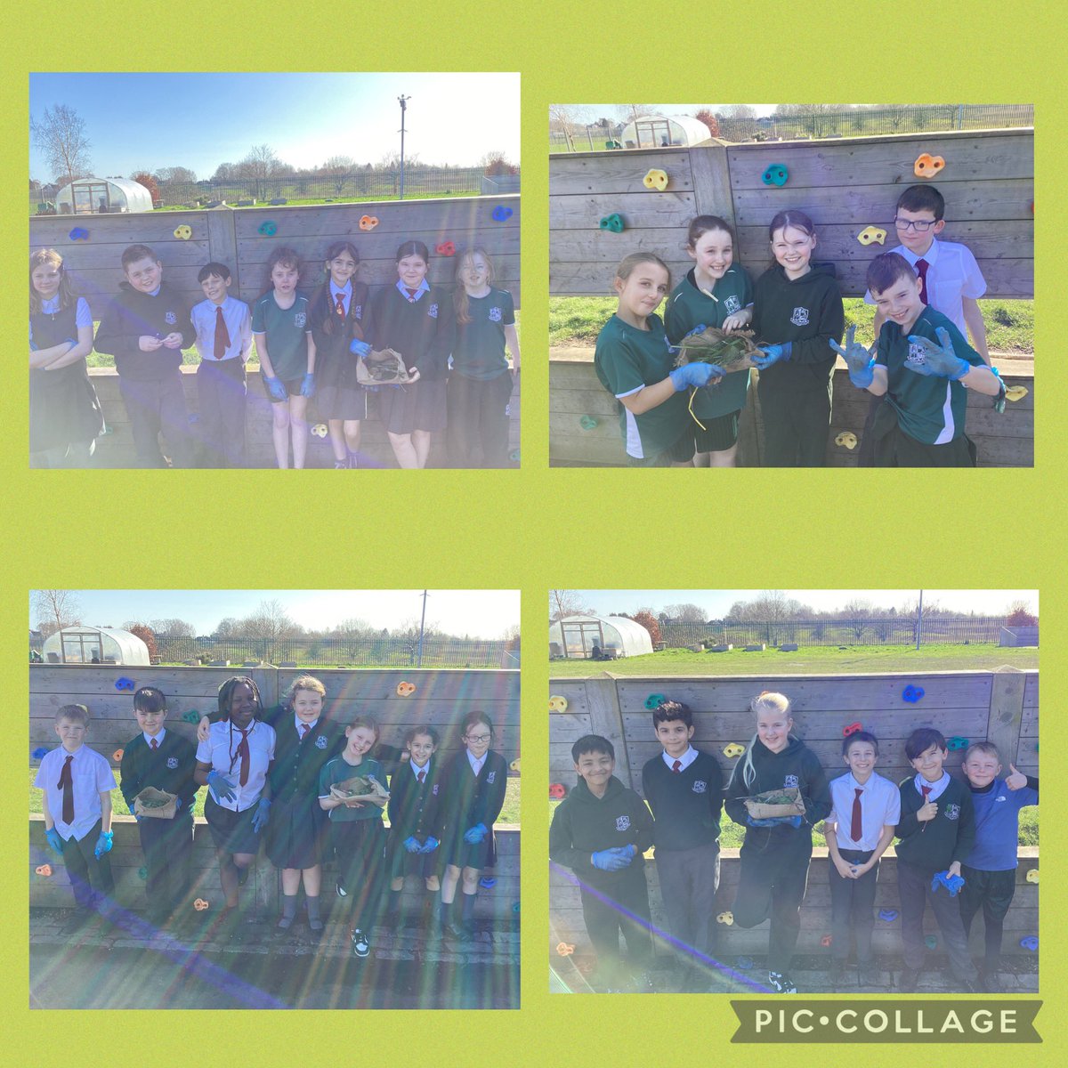 MissStantonY5_'s tweet image. After that, we wove the materials together to build our nests, practising patience and teamwork just like real birds. 🐦✨

Finally, we found safe spots in the trees, away from any predators, to place our nests and give the birds a secure home.#BritishScienceWeek2026