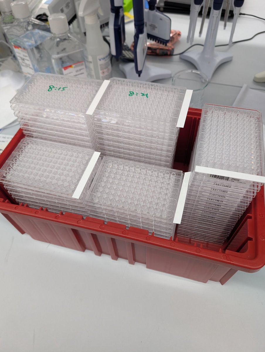 Patrick Heizer tweet media