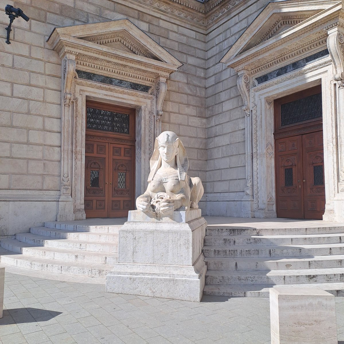 Svetlana Aneta Gavrilina tweet media