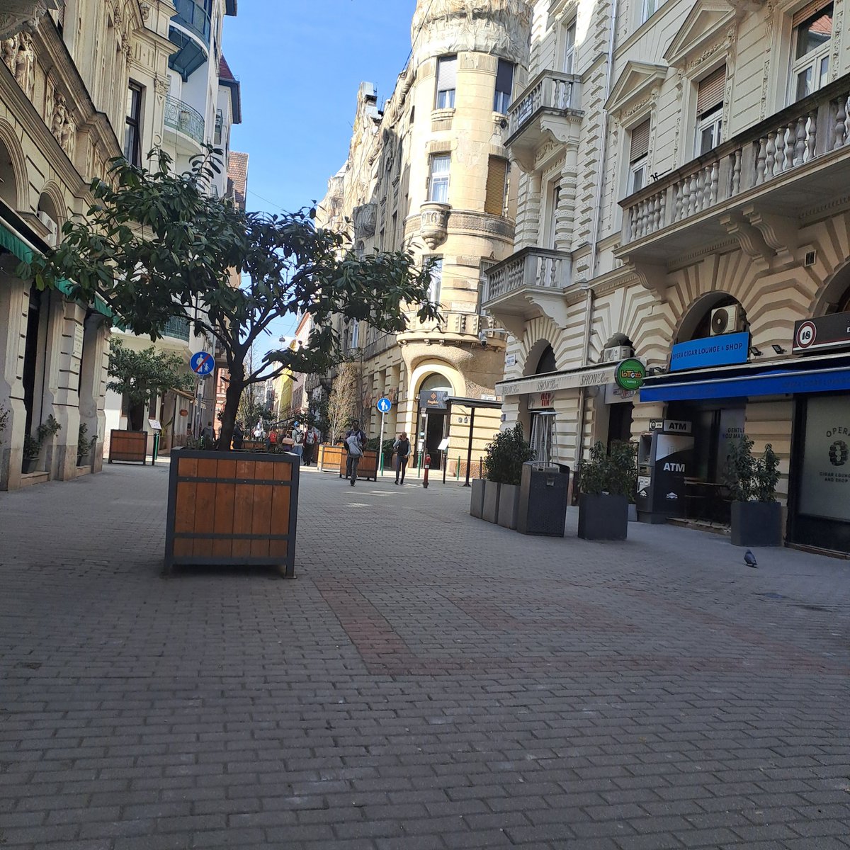 Svetlana Aneta Gavrilina tweet media