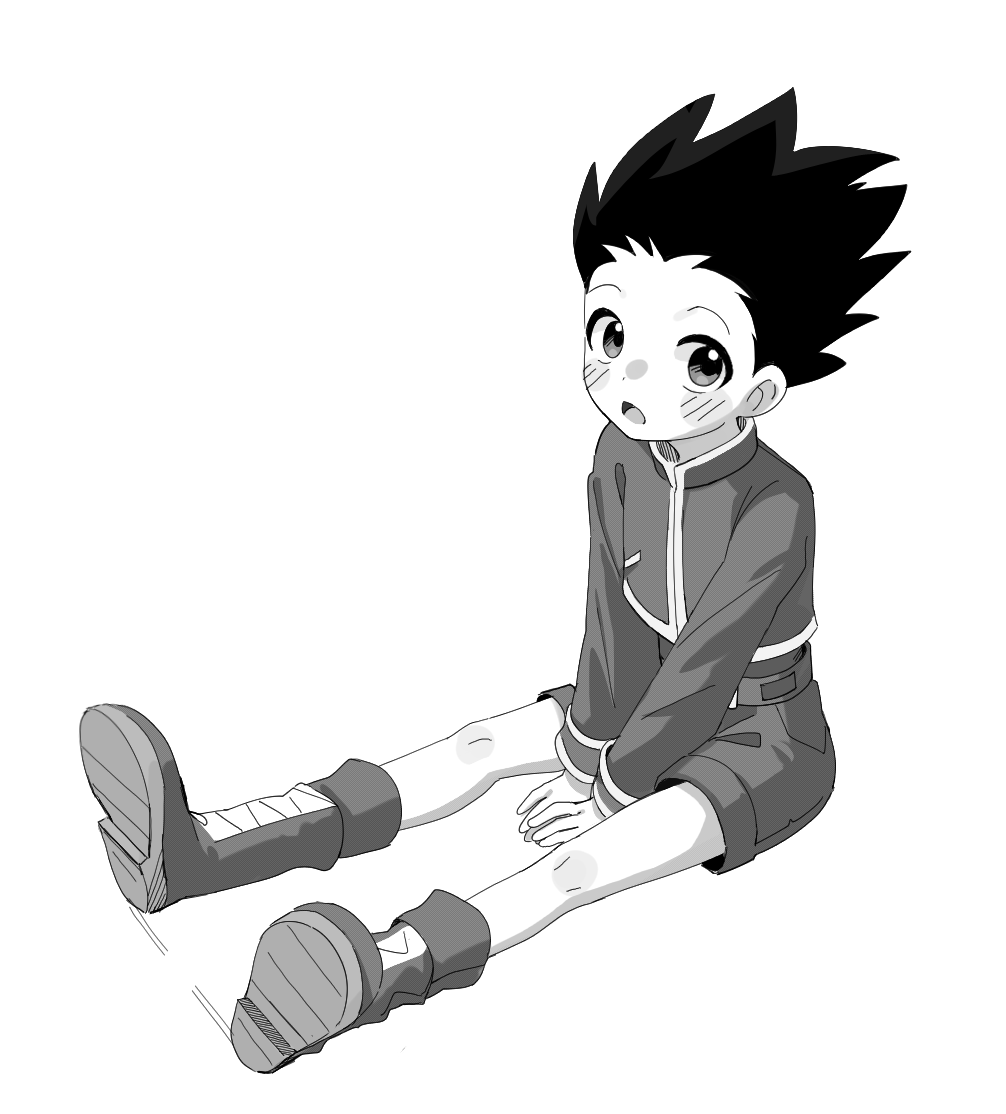 _ire030's tweet photo. #hxh https://t.co/tyYDKOYwWF