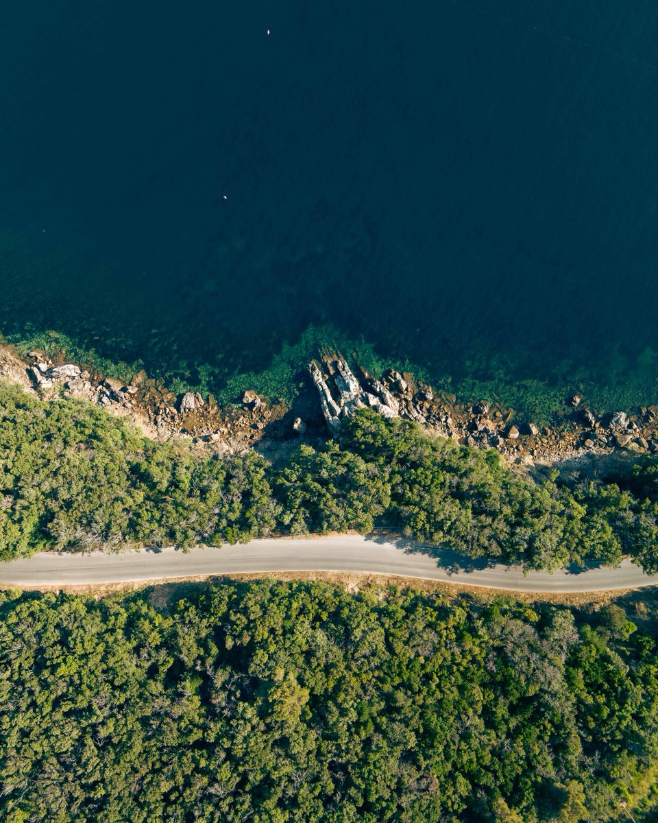 Visit Elba Official tweet media