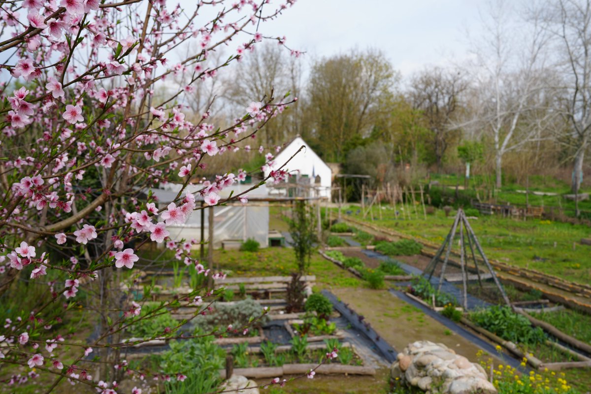 Ajuntament de Girona tweet media
