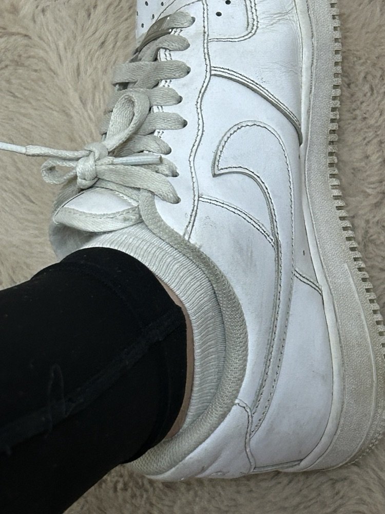 𝓛𝓪𝓭𝔂𝔂 𝓜𝓪𝓳𝓪 tweet media