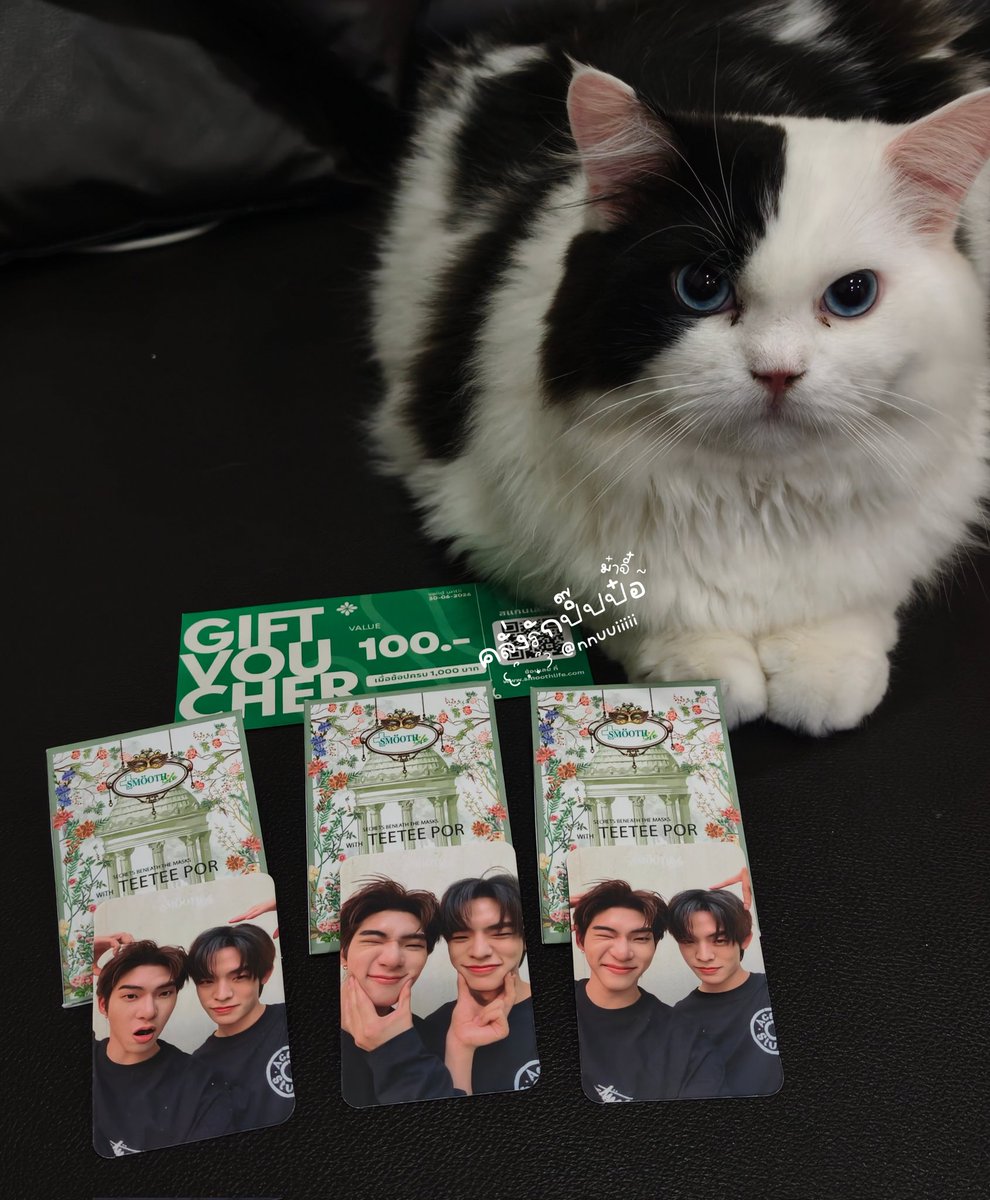 𐔌՞. .՞𐦯 คลั่งรักปิ๊ปป๋อ~ ม๋าจี๋ •ﻌ• tweet media