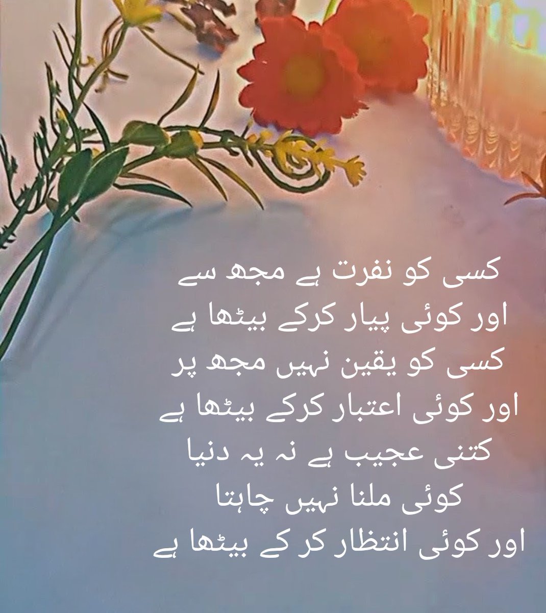 SYED ZAMIN ABBAS tweet media