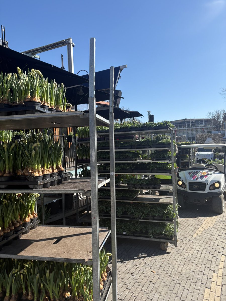 Torben Plank tweet media