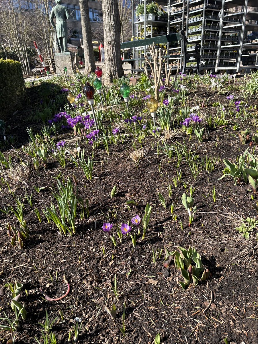 Torben Plank tweet media