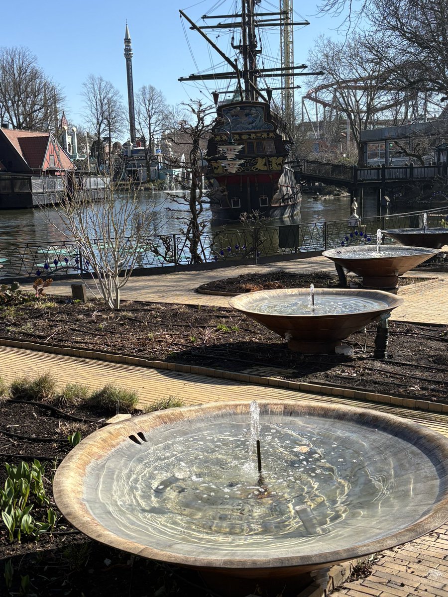 Torben Plank tweet media