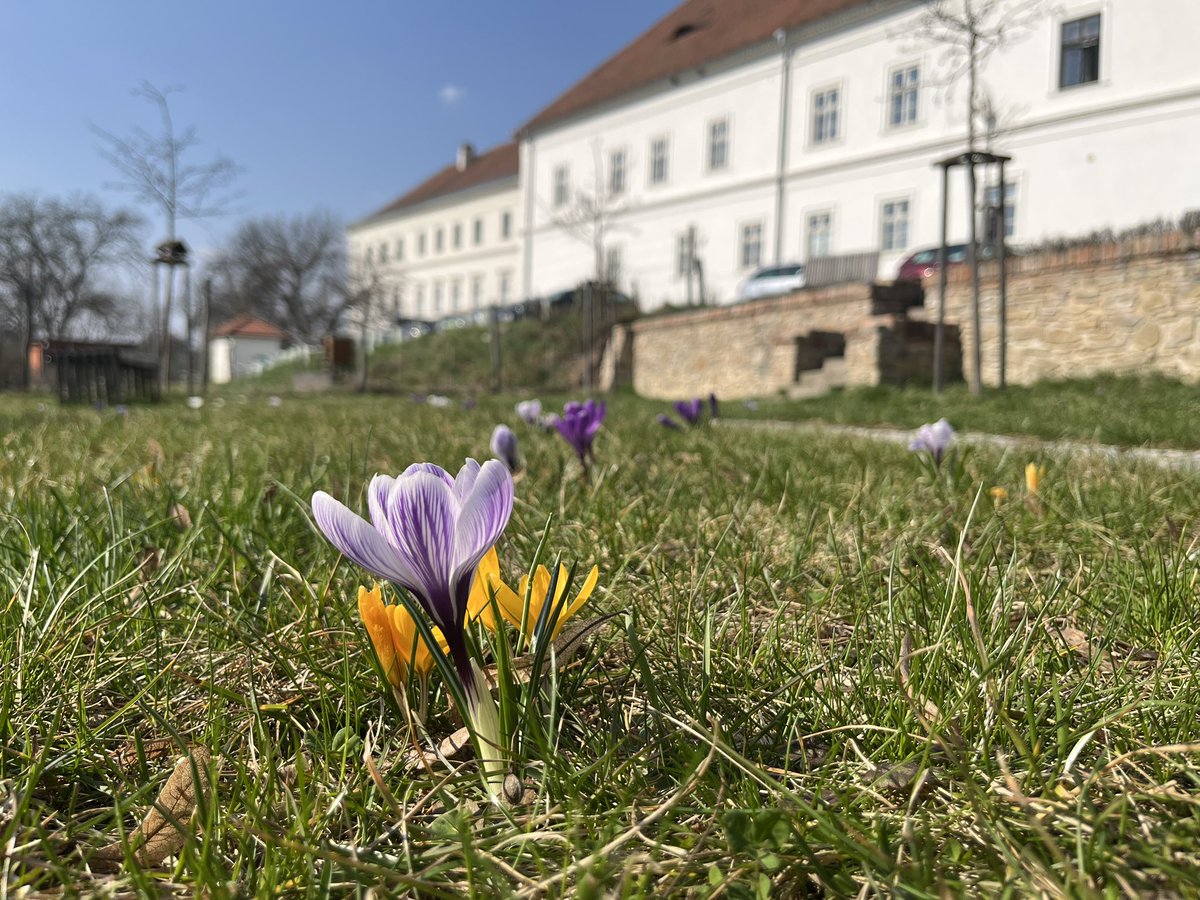 Pavel Urbancik tweet media