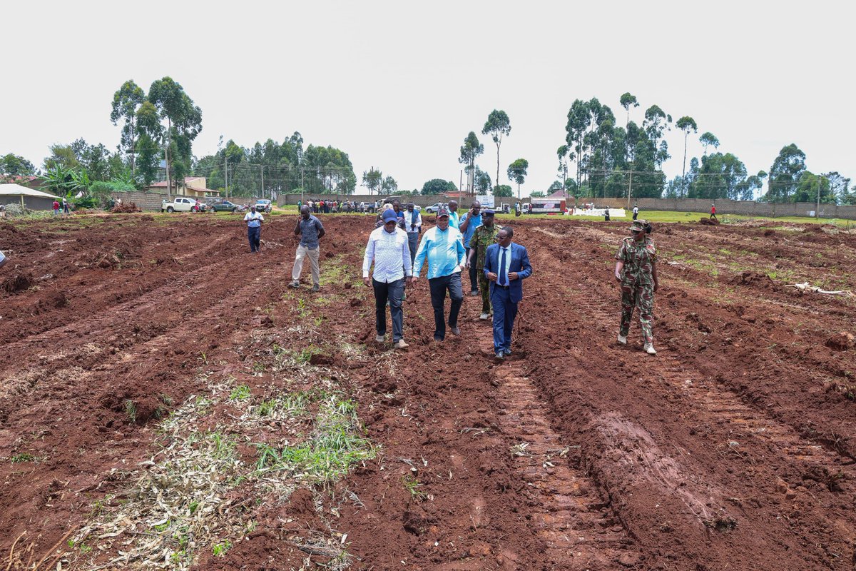 Dr Patrick Mariru, PhD tweet media