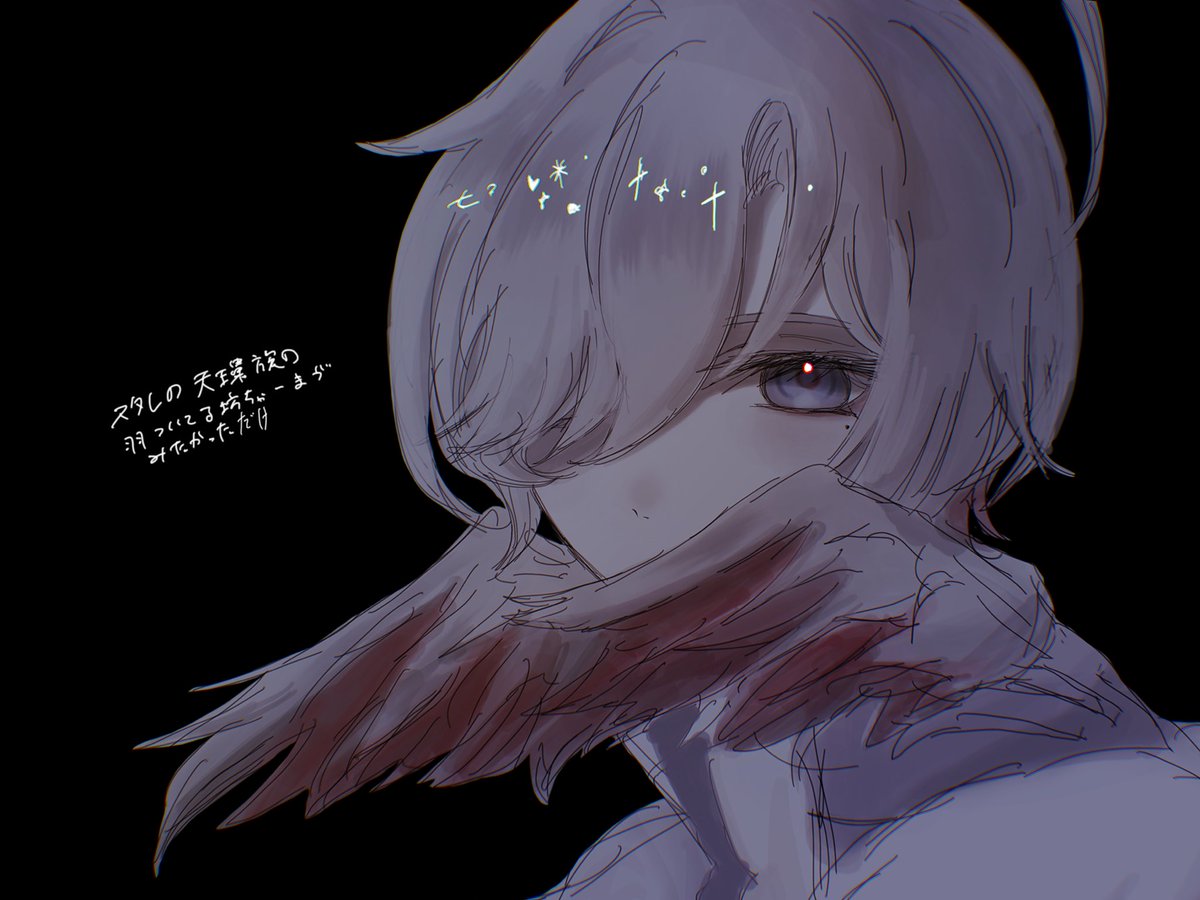 蛇ノ目 tweet media