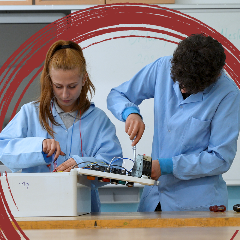 World Bank Europe and Central Asia tweet media