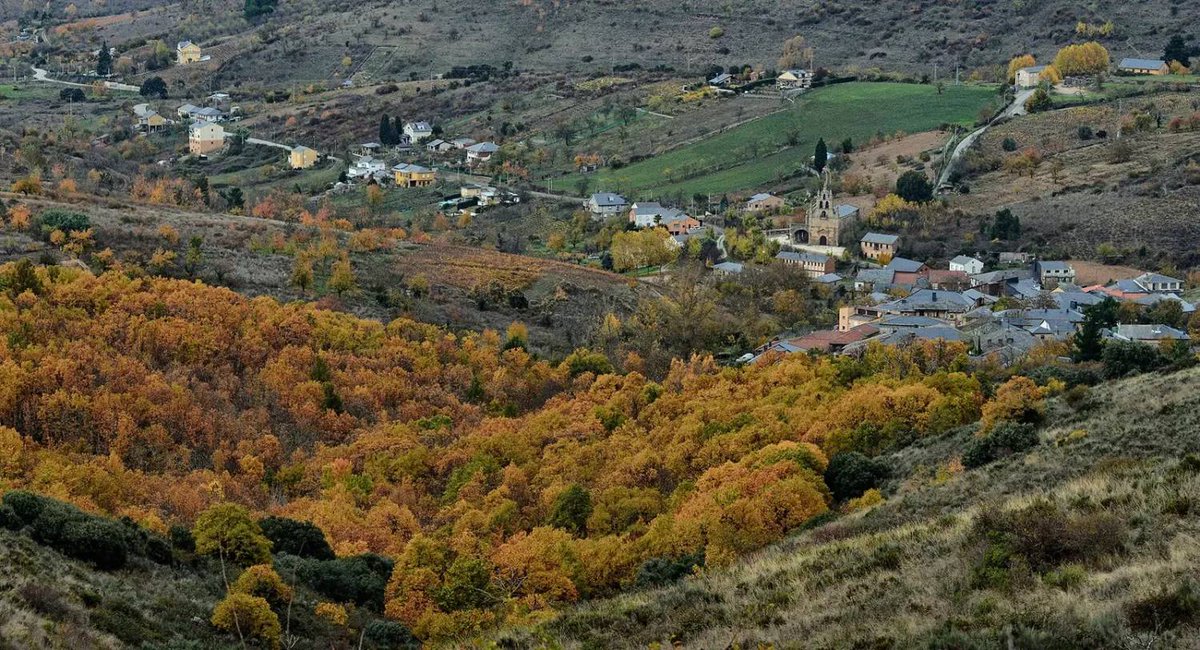 Subdelegación del Gobierno en León tweet media
