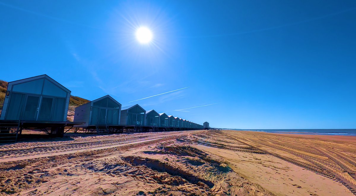 Ed v. Pelt tweet media