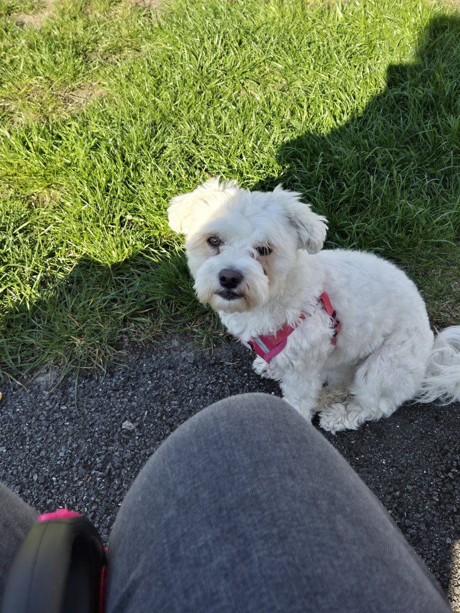 Nαԃʝα ˃ᴗ˂ tweet media