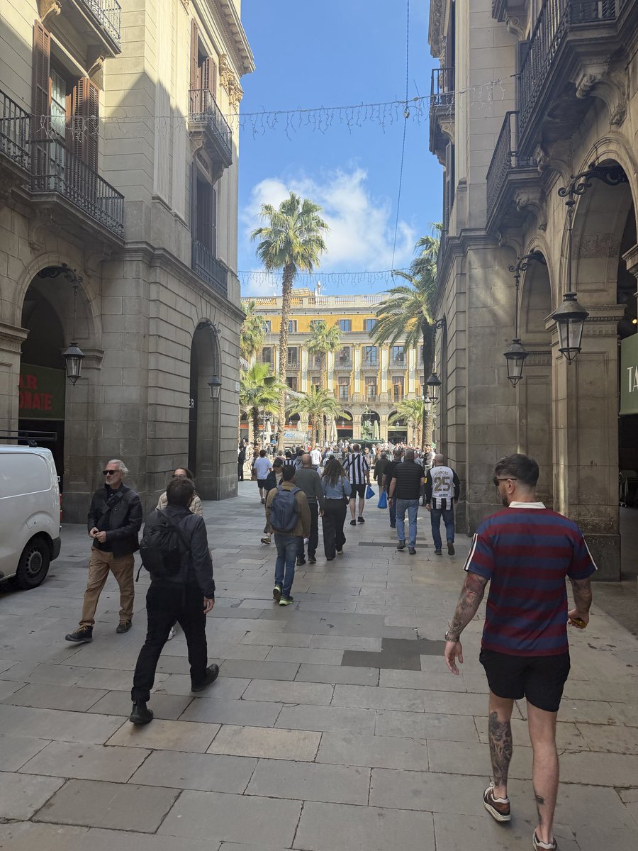 Fenaz⬛️⬜️ tweet media