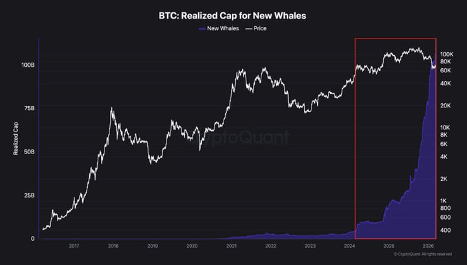 CoinEx Spanish tweet media