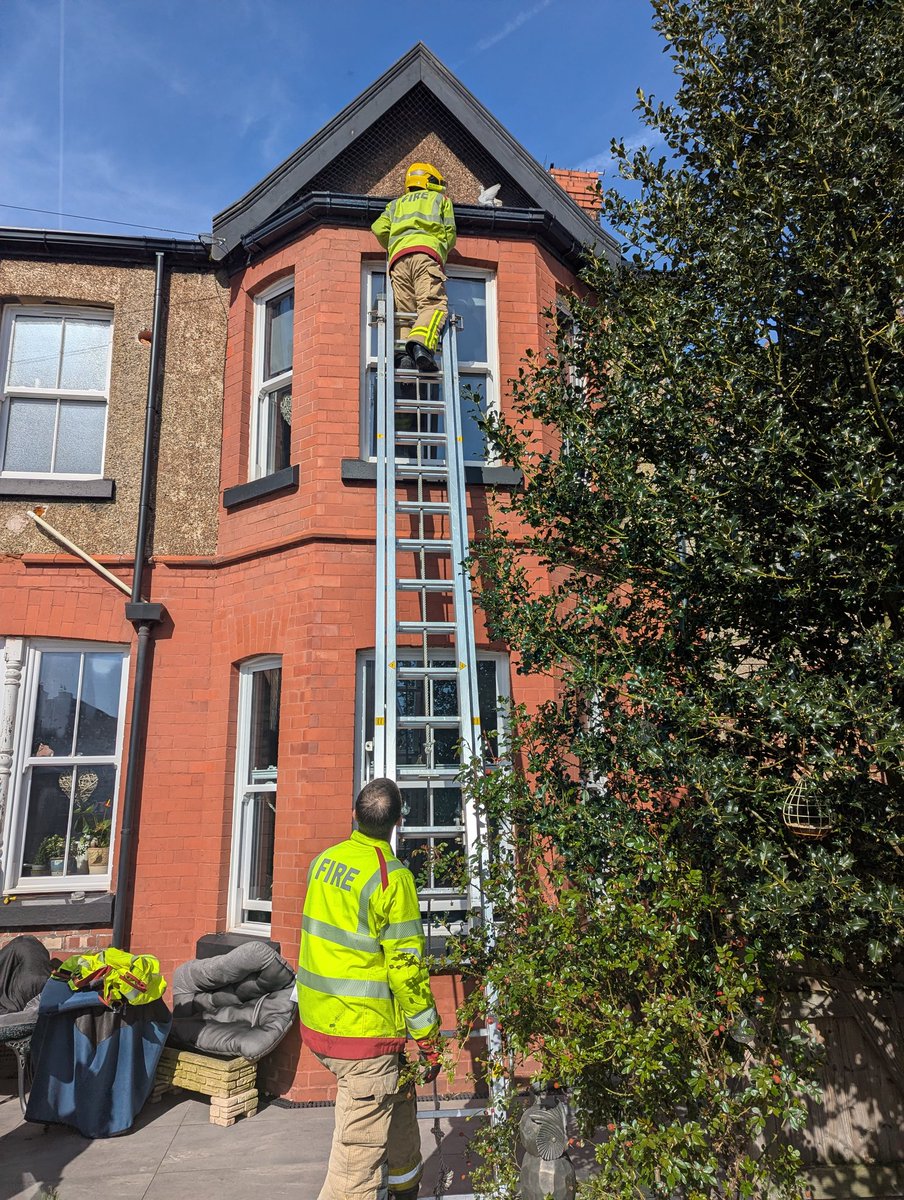 Anthony Joynes tweet media