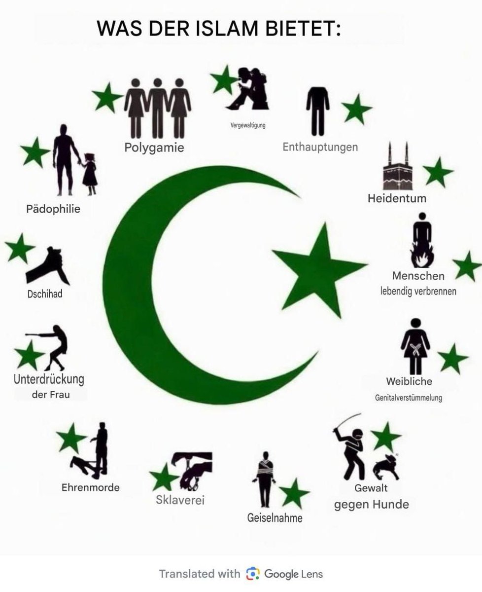 Helene Hargesheimer 🇩🇪 🕊 ✌ 💙 tweet media