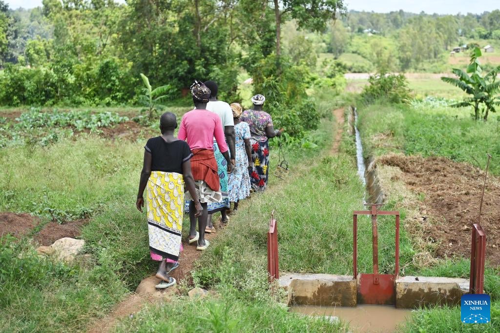 African Institute for Belt and Road tweet media