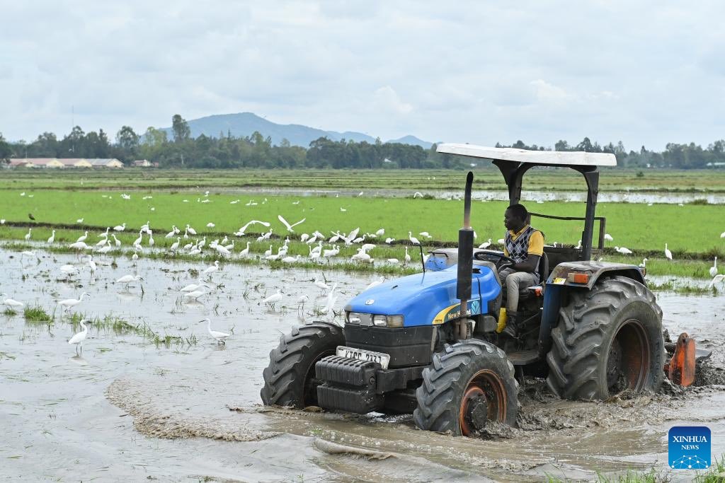 African Institute for Belt and Road tweet media