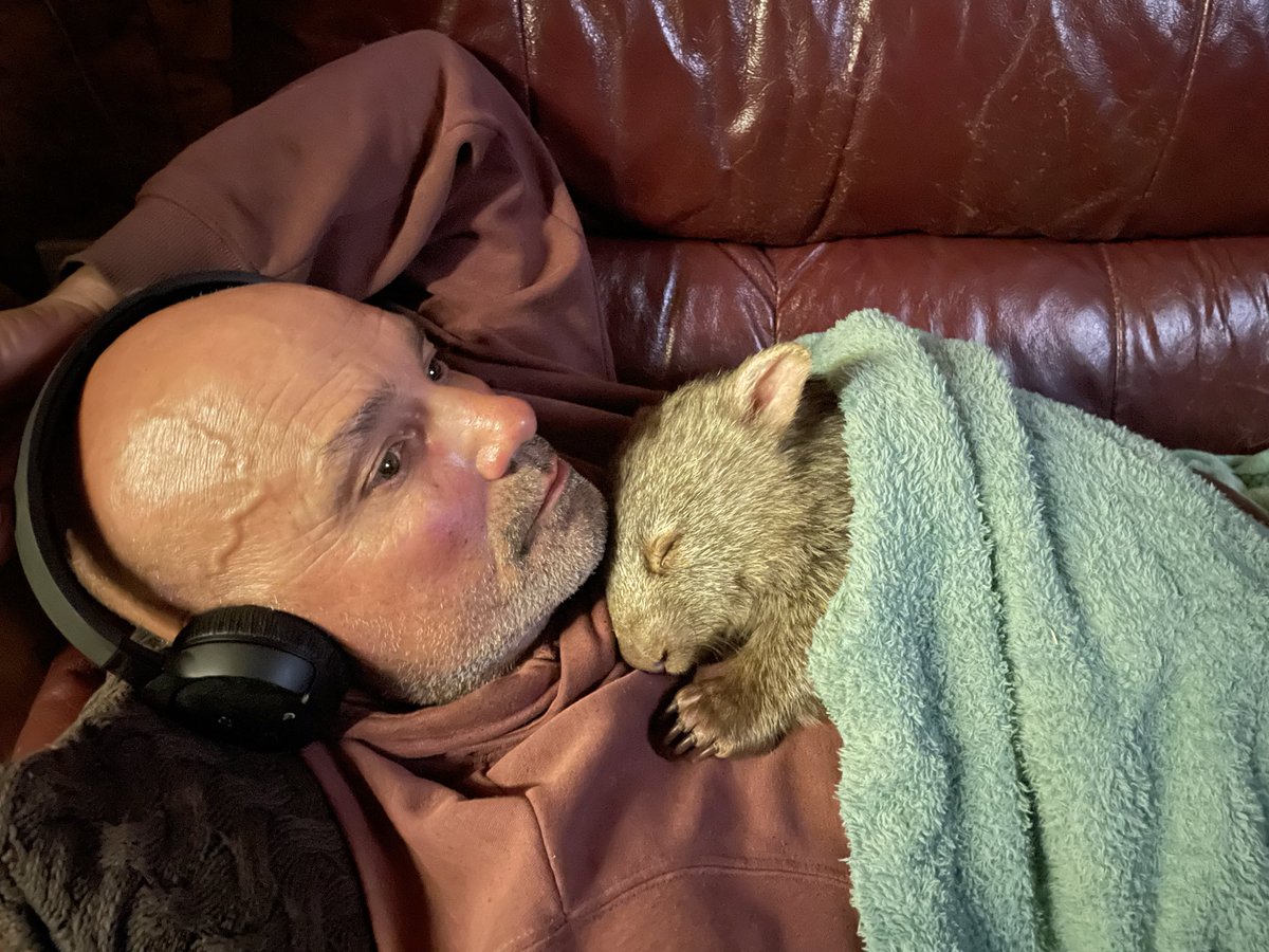 akローラ🇦🇺山暮らしとウォンバット tweet media