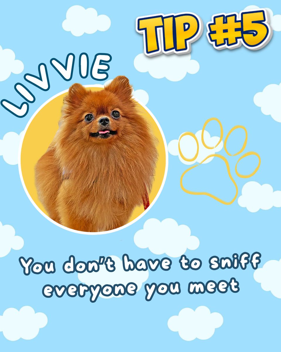 Orlando International Airport tweet media