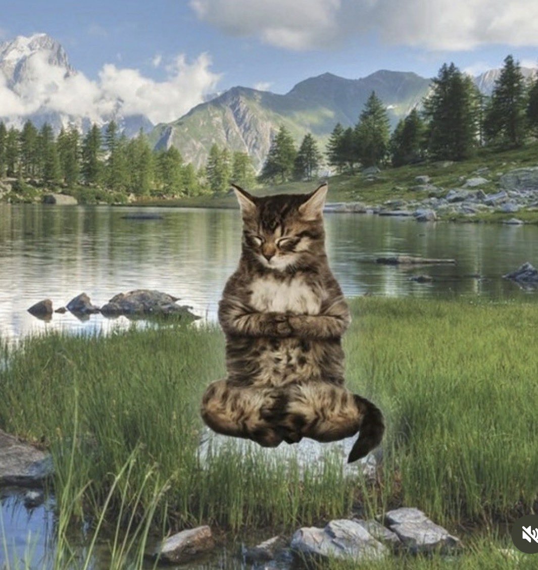 𝚃𝚑𝚊𝚕𝚊𝚜𝚜𝚘𝚙𝚑𝚒𝚕𝚎 tweet media