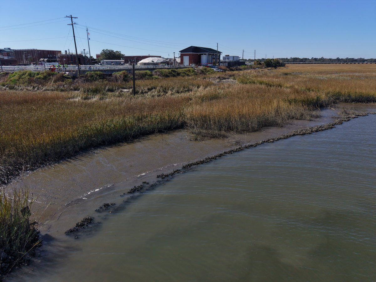 Charleston Water tweet media