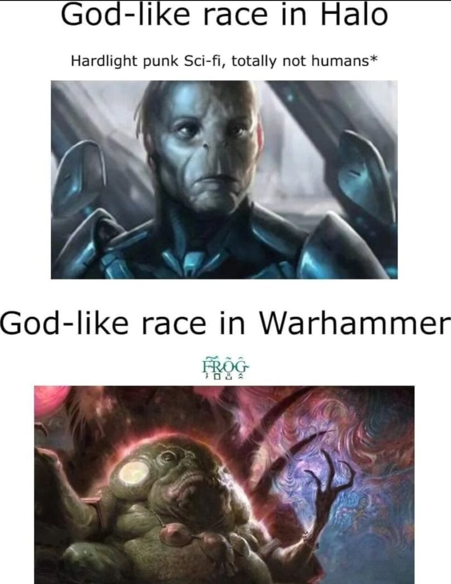 NobleActua🄻 tweet media