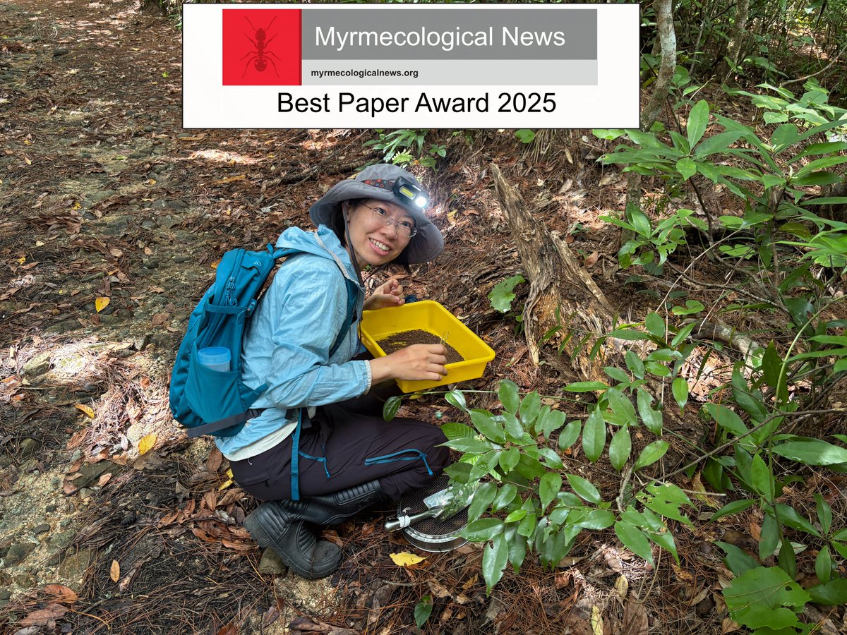 Myrmecological News tweet media
