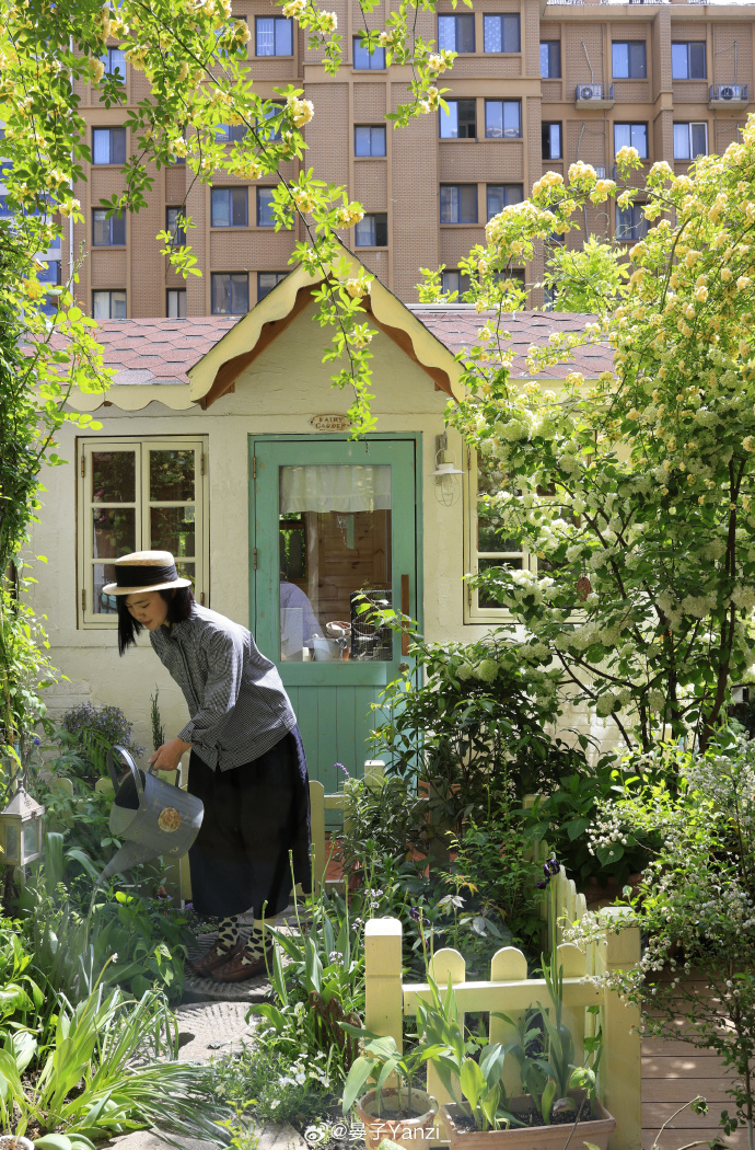 JonathanKuo tweet media